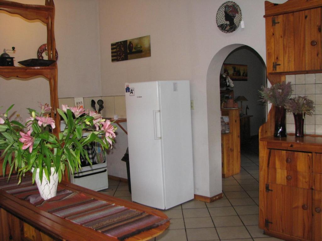 Jembjo'S Knysna Lodge & Backpackers Eksteriør bilde